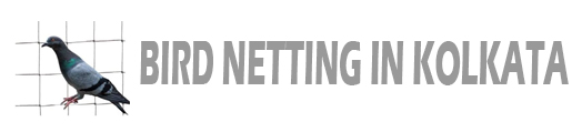 birdnettinginkolkata
